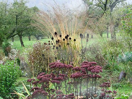 Oktober im Wiesengarten