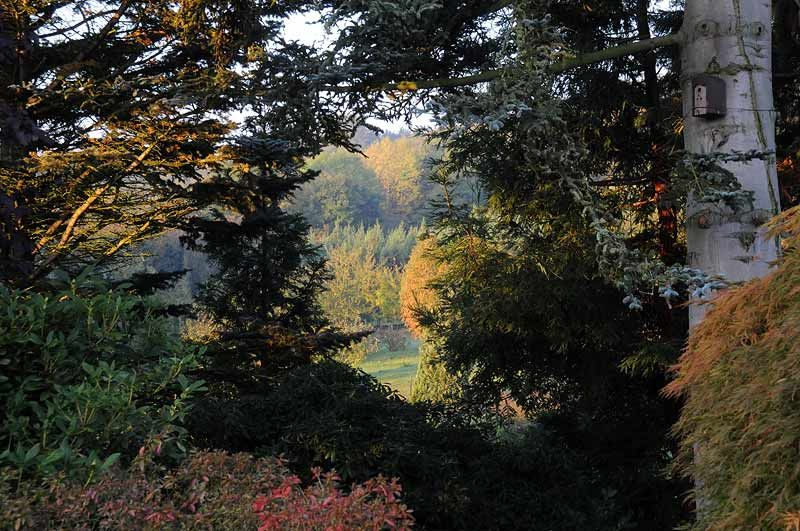 Oktobermorgen Durchblick
