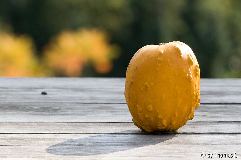 Späte Ernte