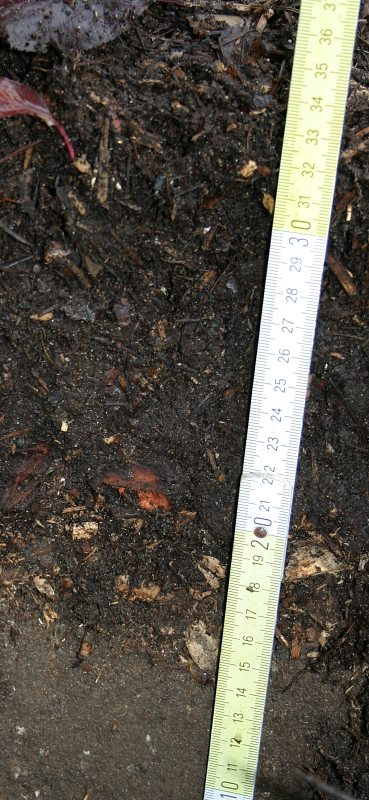 Bodenschichtung Mulch