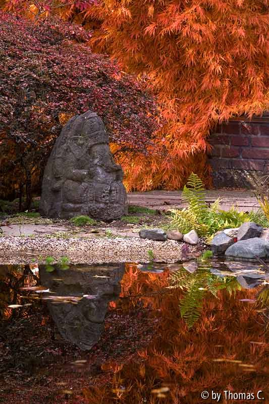 Ganesha und die Acerglut