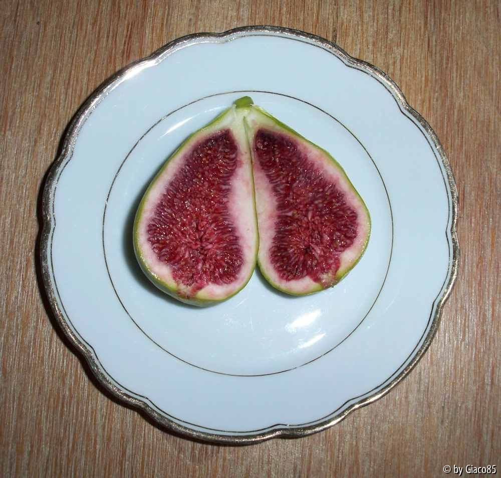 Feige Dalamatie erste Frucht 25.10.09