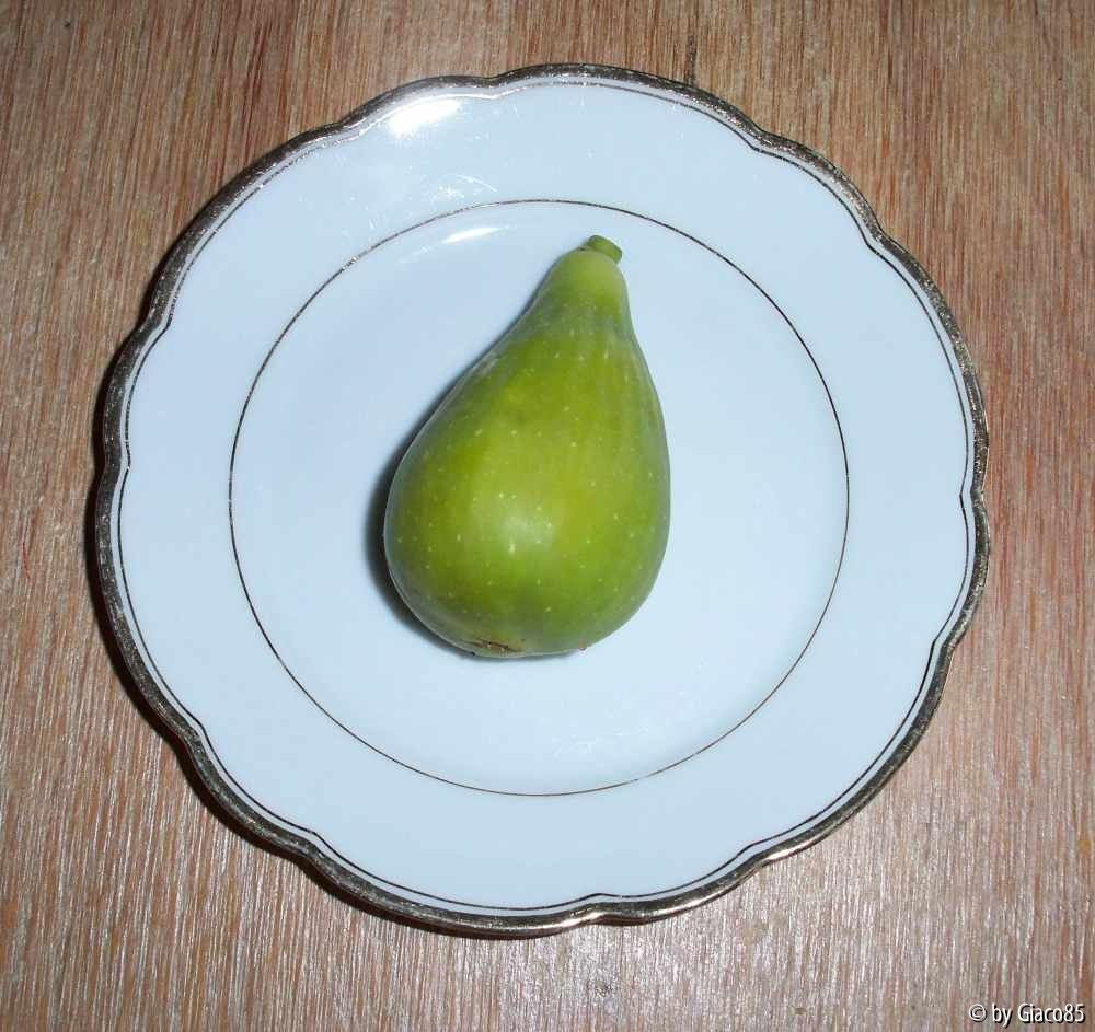 Feige Dalamatie erste Frucht 25.10.09