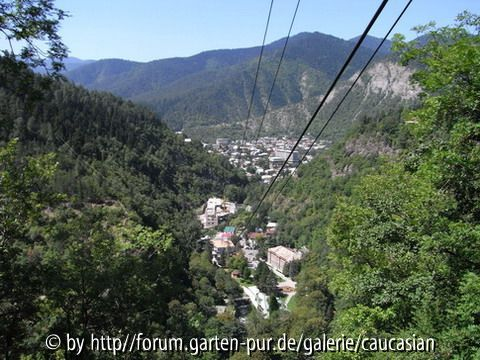 Blick auf Borjomi