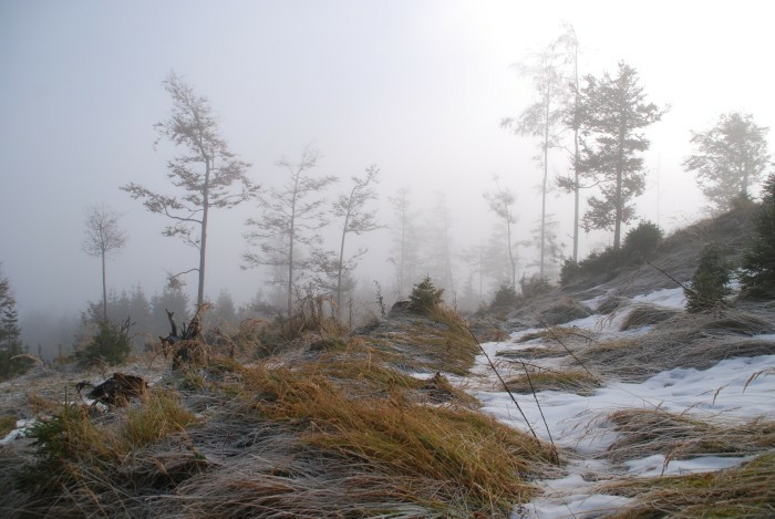 Kasberg 04