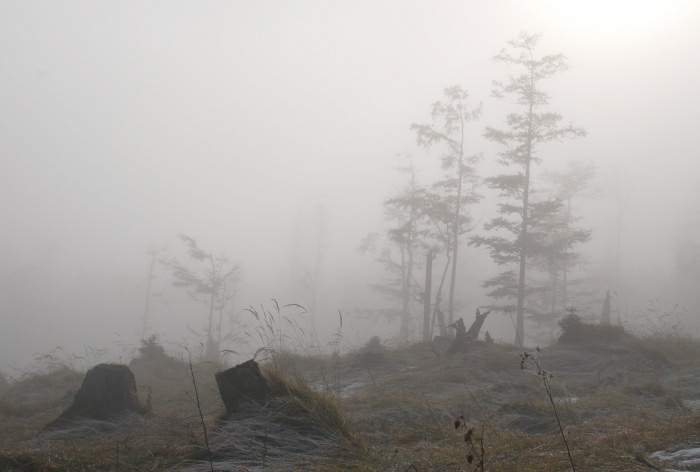 Kasberg 03