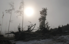 Kasberg 01