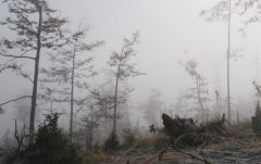 Kasberg 02
