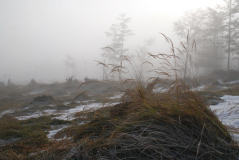 Kasberg 05