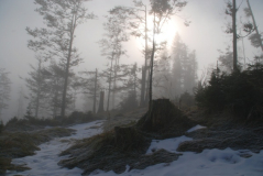 Kasberg 06
