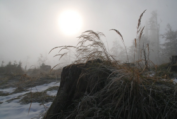 Kasberg 08