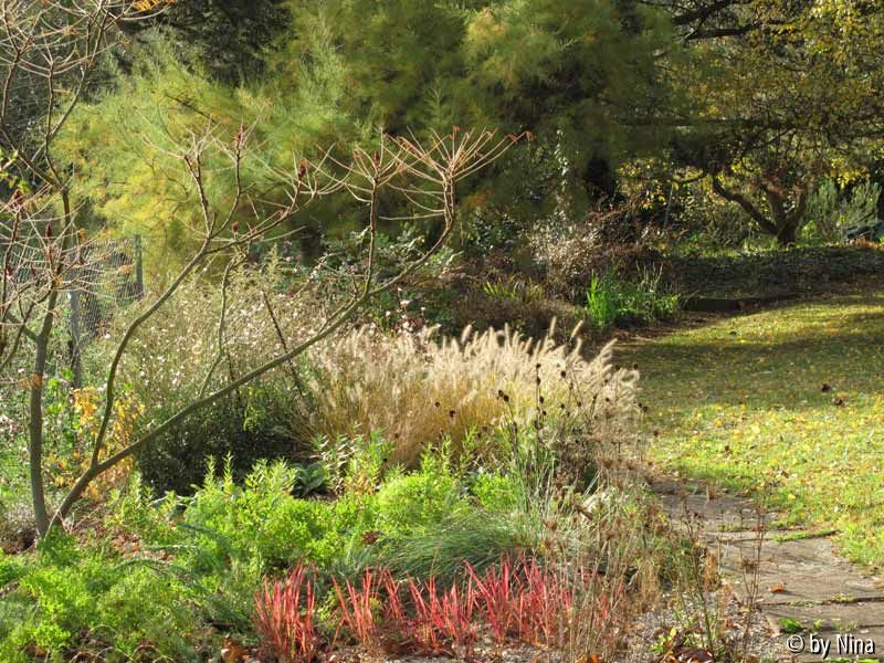 Südbeet im Herbst
