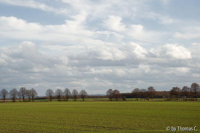 Bei Langel 3