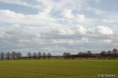 Bei Langel 3