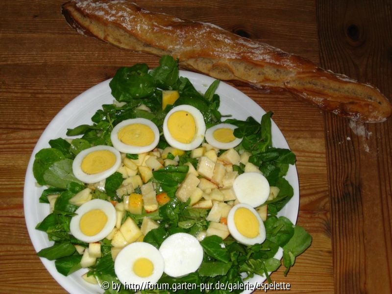 Brunnenkressesalat