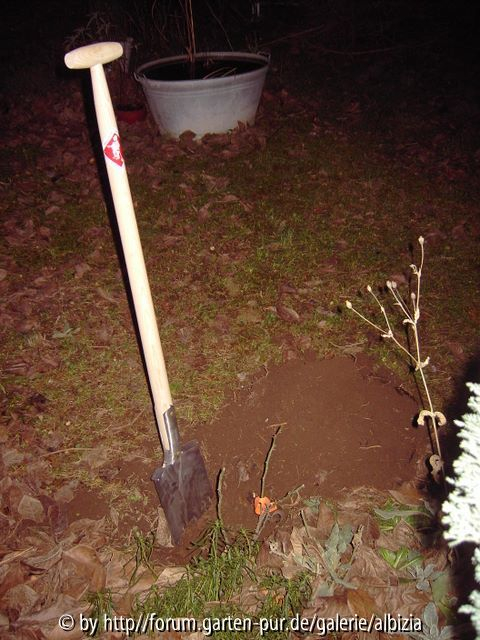 Sneeboer-Spaten-Gewinn von garten-pur: erster Einsatz :-))