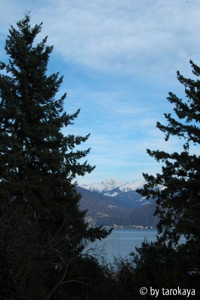 blick gärtnerhaus