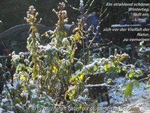 wintertag