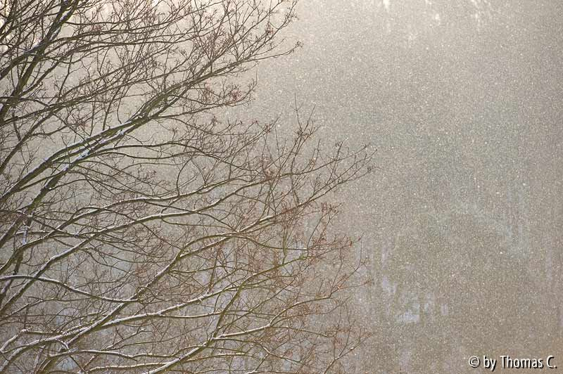 Sonne und Schnee 03