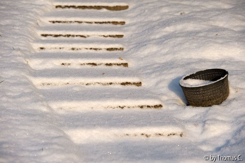 Sonne und Schnee 02