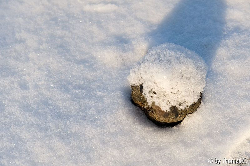 Sonne und Schnee 01