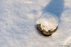 Sonne und Schnee 01