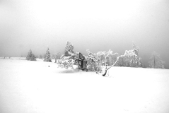 Schwarzwald SW