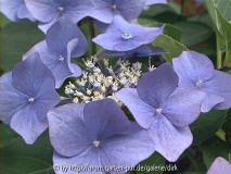 Glinde2