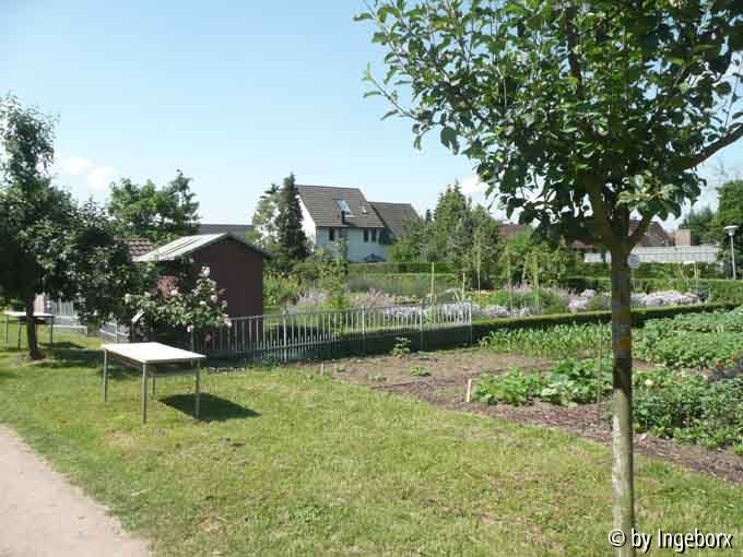 der Bauergarten