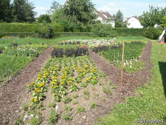 erster Eindruck: