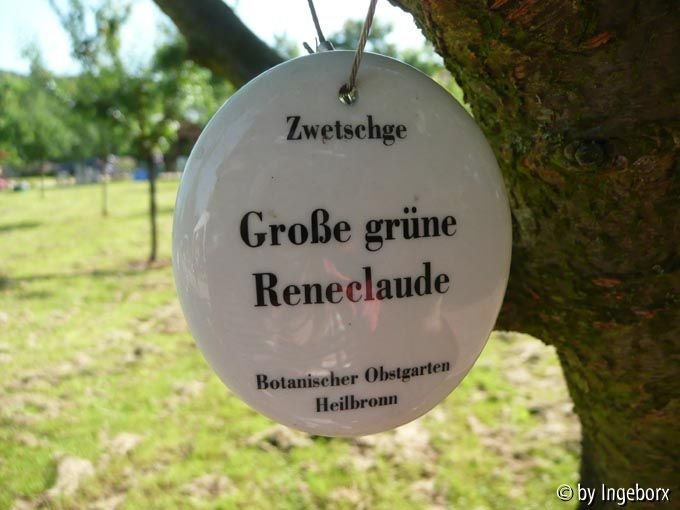Schilderwald