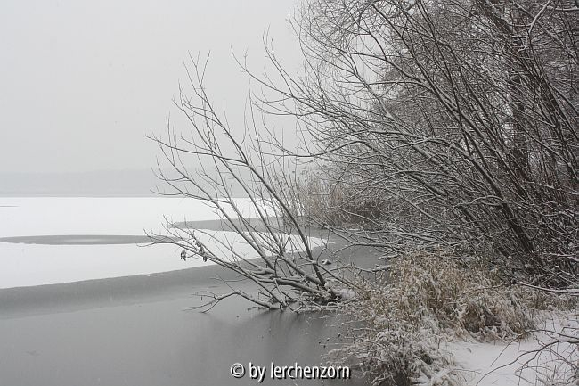 Havel im Neujahrsschnee 10