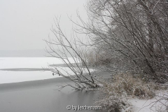 Havel im Neujahrsschnee 10