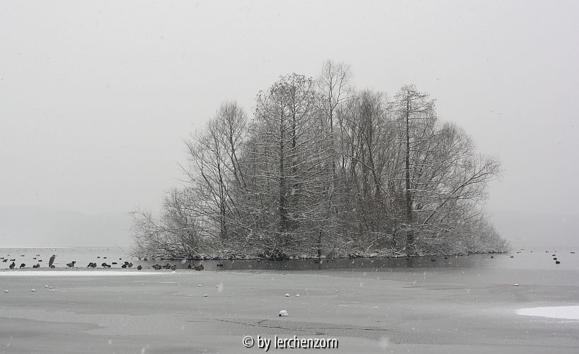 Havel im Neujahrsschnee 08