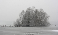 Havel im Neujahrsschnee 08