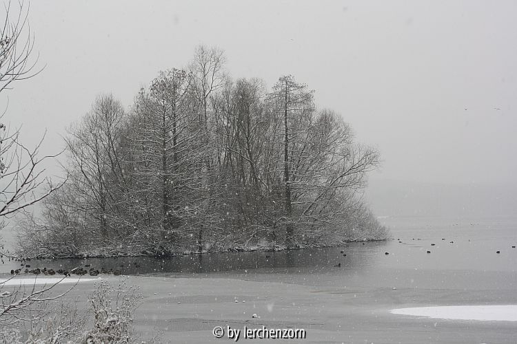 Havel im Neujahrsschnee 09