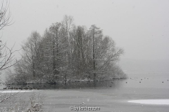 Havel im Neujahrsschnee 09