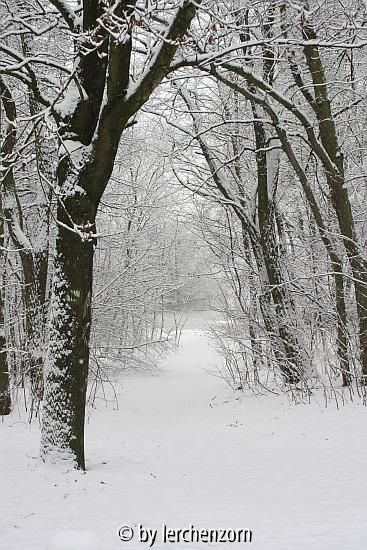 Havel im Neujahrsschnee 08