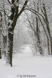 Havel im Neujahrsschnee 08