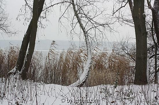 Havel im Neujahrsschnee 07