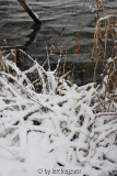 Havel im Neujahrsschnee 06