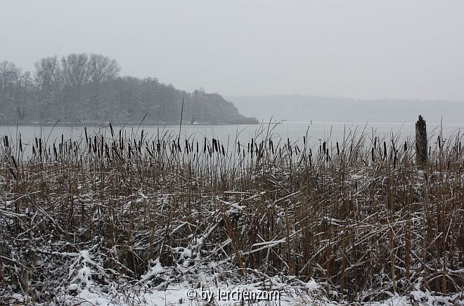 Havel im Neujahrsschnee 04