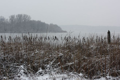 Havel im Neujahrsschnee 04