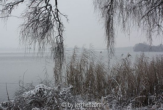 Havel im Neujahrsschnee 03
