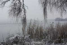 Havel im Neujahrsschnee 03