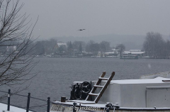 Havel und Potsdam im Neujahrsschnee 01