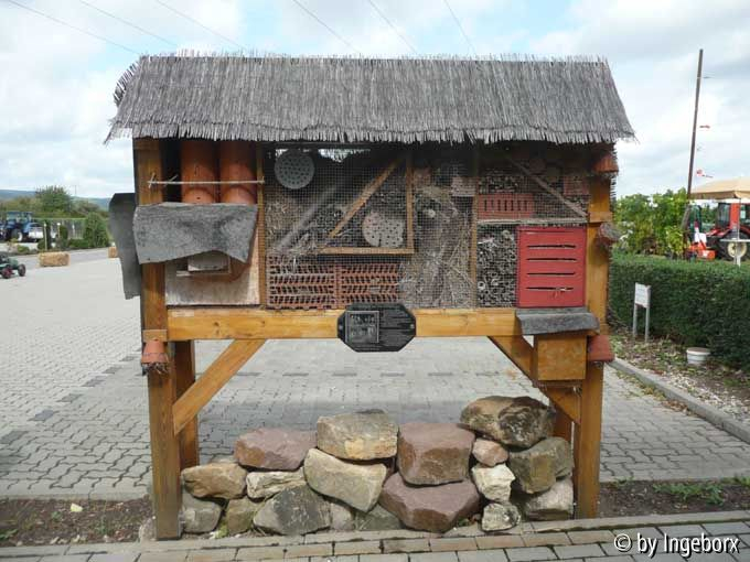 Insektenhaus