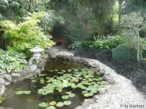 Teich