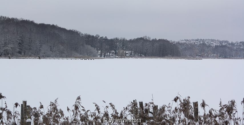 Havelseen im Schnee, Schwielowsee-Bucht bei Ferch