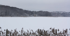 Havelseen im Schnee, Schwielowsee-Bucht bei Ferch